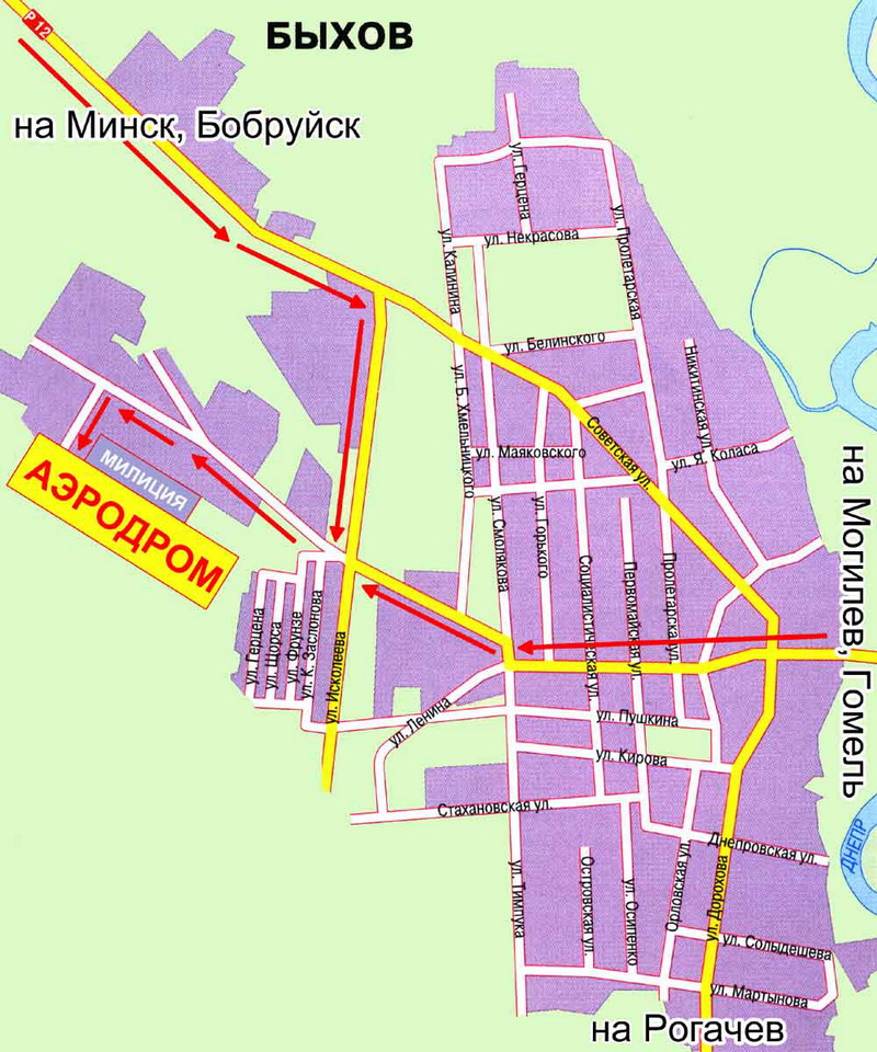 карта Быхова