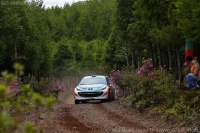 Rallye Açores